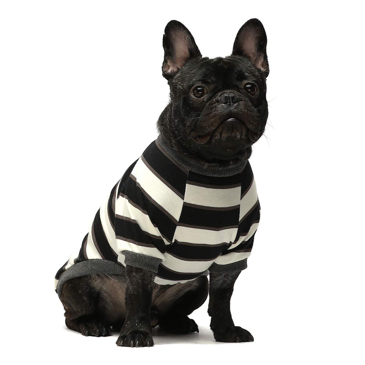 Fitwarm 2 Pack Striped Dog Shirt, Summer Dog Clothes For Small Dogs Boy, Breathable Pet Tshirt, Stretchy Cat Outfit, 105% Cotton